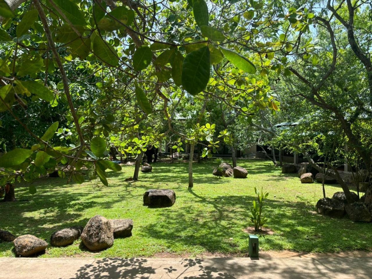 Hotel Elephant Reach Yala Zewnętrze zdjęcie