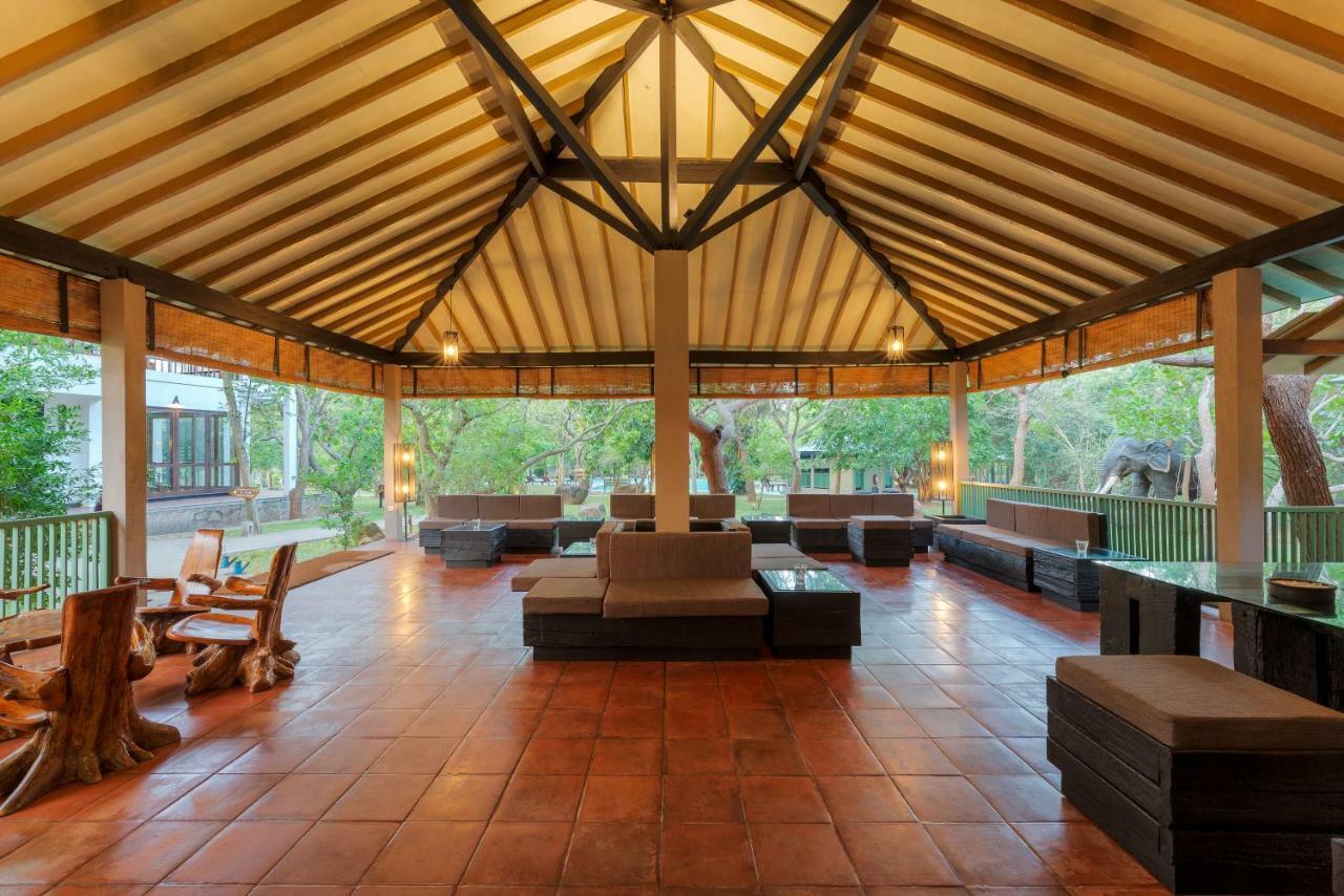 Hotel Elephant Reach Yala Zewnętrze zdjęcie
